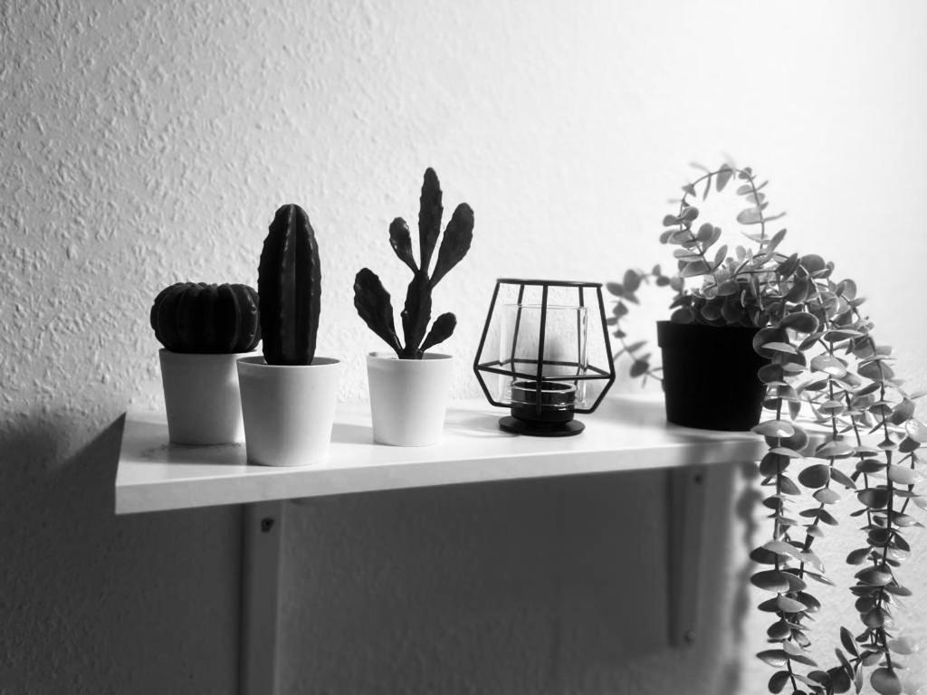 Komfortables Apartment Карлсруе Екстериор снимка